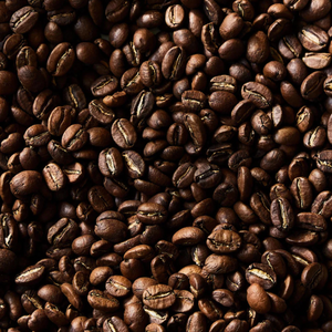 Organic Coffee Beans - Light Roast