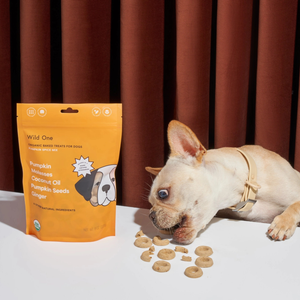 Organic Dog Treats - Pumpkin Spice
